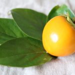 市田柿ミルフィーユの口コミ評判は？通販人気おすすめのカロリーや賞味期限も紹介