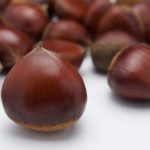 足立音衛門栗のテリーヌ天の口コミ評判は？カロリーや賞味期限も紹介